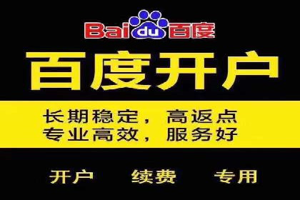 某SEM主管的跨平台广告投放策略与成果